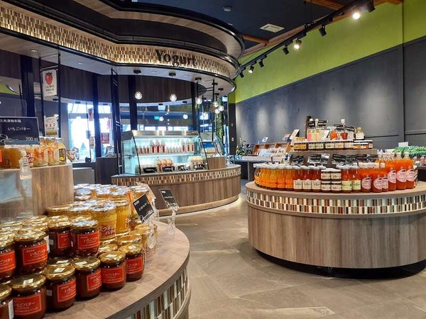 【E:佐賀・神埼・鳥栖発】 復活!阿蘇神社楼門とバラ繚乱のローズガーデン 阿蘇爽快ドライブ 日帰り2